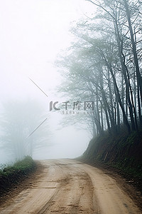泥土路背景图片_雾中树木的土路
