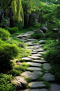 长路背景图片_一条石头路通向一个长满植物的花园