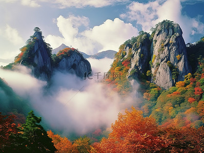 奇怪emoji背景图片_一座山在云层覆盖的树木之间突出