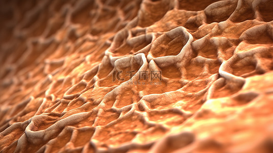 皮肤问题问题背景图片_宏观层面鱼鳞病和干性皮肤皮肤细胞的详细 3D 渲染
