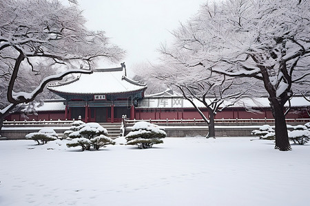 冬天古建筑背景图片_上海天民佛宫花园