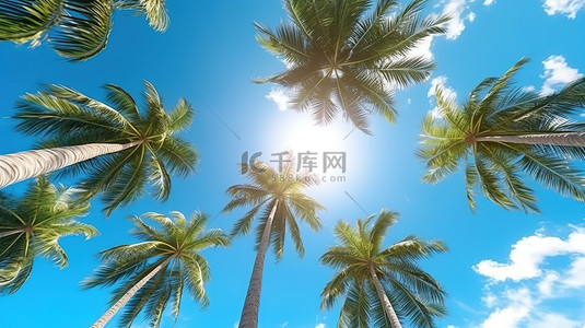 夏日绿色背景背景图片_3D 渲染中热带棕榈叶映衬着充满活力的蓝天