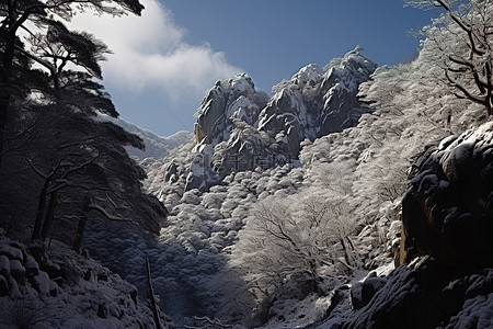 冬天的山景