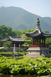 荷花园的一座建筑紧邻山