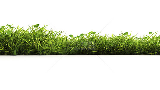 3D 渲染的绿草地，白色背景上具有逼真的细节，非常适合印刷和商业横幅