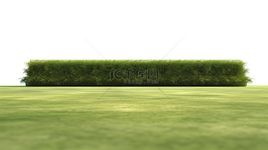 郁郁葱葱的绿草的孤立网球场的真实 3D 渲染