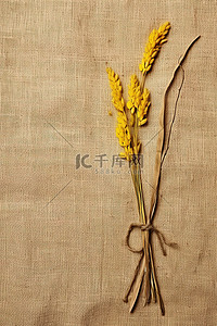 食背景图片_一块麻布上的黄色茎