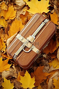 橙色秋叶背景图片_一个小橙色手提箱放在秋叶上