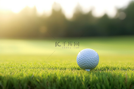 一个高尔夫球坐在室外球场的草地上