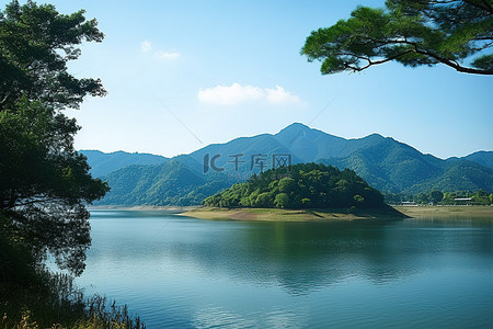 水和山在背景中与树木