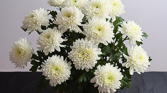 装饰菊花背景图片_菊花 jgcpicrtchrysantemeriasflowerexpress com