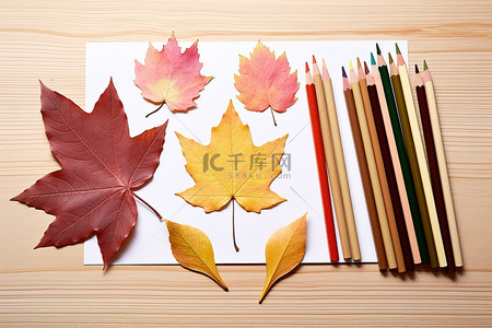 各种彩色铅笔和不同颜色的树叶