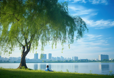 一个女人坐在湖边公园的一棵树下
