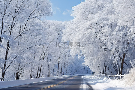 路上的时光背景图片_一条路上有雪，背景中有树木