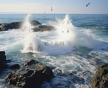 海鸥背景图片_小鸟飞过海岸的岩石和海浪