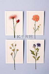 一组四根花茎，打印在单独的照片上
