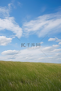 大片开场背景图片_一大片草地，有蓝天白云和蓝草