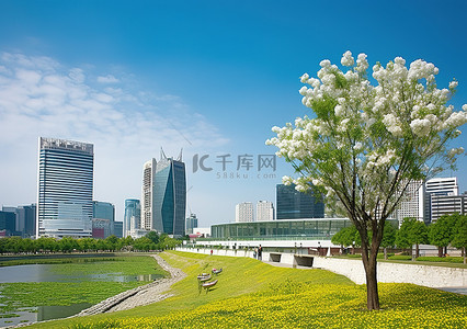 一棵树和一朵花装饰着一个城市公园