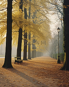 秋天的公园背景图片_秋天的公园