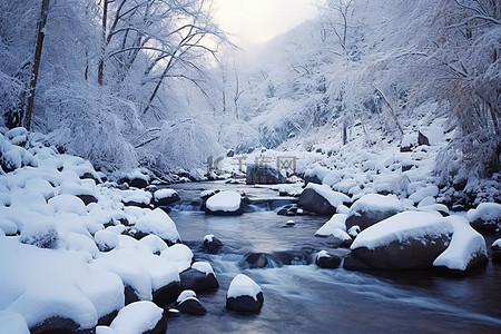 在山间背景图片_一条山间溪流坐落在冰雪覆盖的森林中