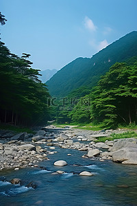 有河流的森林背景图片_山附近一条有岩石和树木的河流