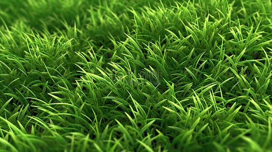 郁郁葱葱的绿草纹理自然高分辨率 3d 背景