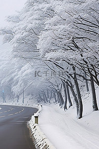 和牛雪花牛里脊背景图片_路边的树木被雪覆盖