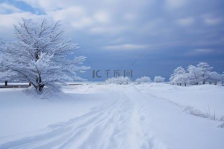 暴风雨天的积雪道路