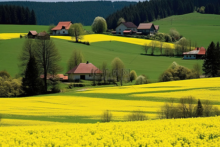 斯洛伐克背景图片_斯洛伐克高地的春天