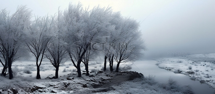 雪背景图片_冬天结满冰的树木和河流