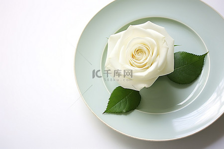 白盘上的白玫瑰