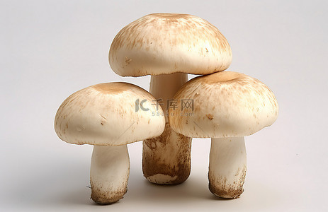 抬背景图片_白色表面上抬起头的三个蘑菇