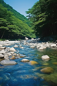 蓝色的森林背景图片_阳光明媚的日子里，一条蓝色的河流穿过森林