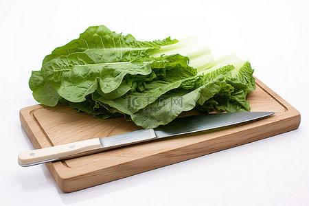 绿叶蔬菜在木板上