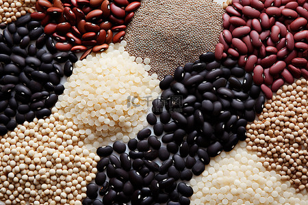 各种类型的种子谷物和豆类