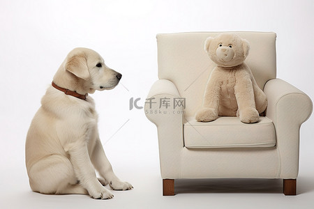 小孩坐在月亮上背景图片_一只白狗坐在椅子上，后面有一只泰迪熊