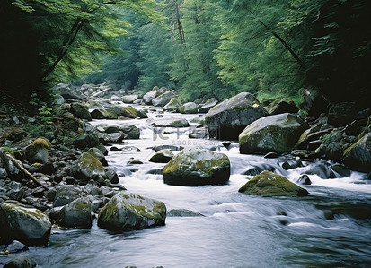 古诗瀑布背景图片_一条河流穿过有岩石的森林