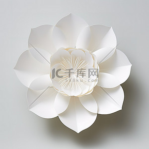 白色花朵纸雕