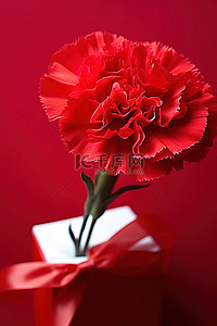 教师节公众号背景图片_红色康乃馨花与红纸礼物