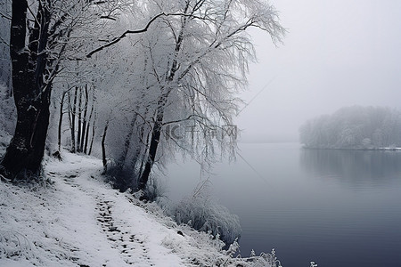 冬日在雪湖边散步