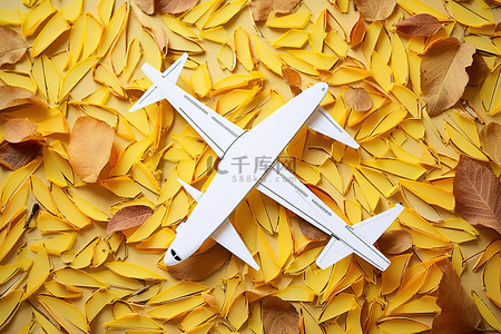 旅行彩色背景图片_黄色叶子上的彩色飞机