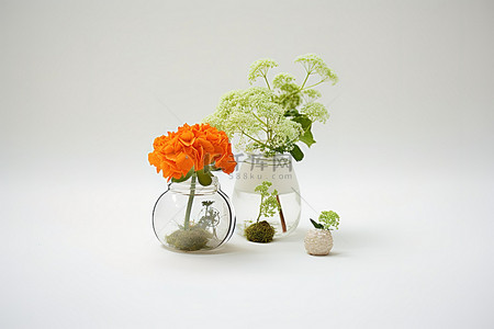 仙人掌绣球花和吹制玻璃罐中的绣球花植物