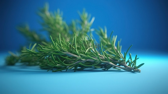 药材背景图片_产品展示蓝色背景与 3D 渲染中的迷迭香小枝