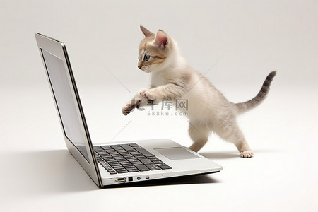 小猫正在白色笔记本电脑旁边抓老鼠