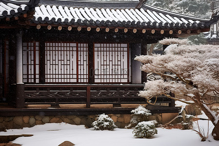 韩国传统风格小家冬天照片