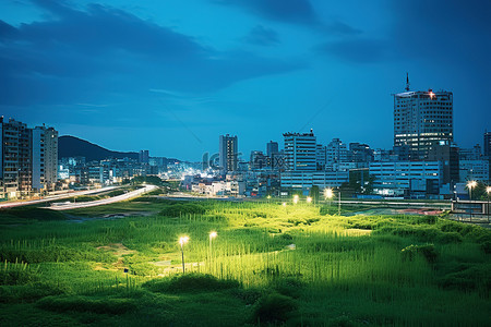 大静区的城市景观由高楼大厦和草地构成