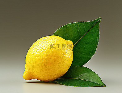 半个柠檬，叶子照片库被裁剪