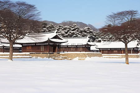 雪地上树木覆盖的韩国房子
