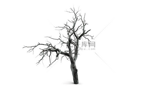 白色线描动物背景图片_白色背景上 3D 描绘的孤独无生命的树