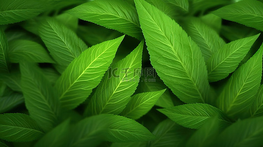 郁郁葱葱的绿色树叶背景的 3d 渲染